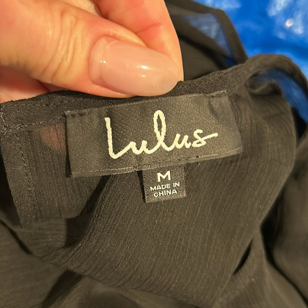 Lulus semi sheer blouse top - Picture 3 of 4